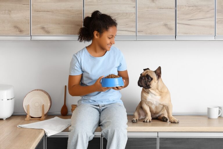 Feeding Your French Bulldog: Best Diets for Optimal Health